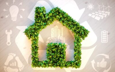 Building an Eco Friendly home